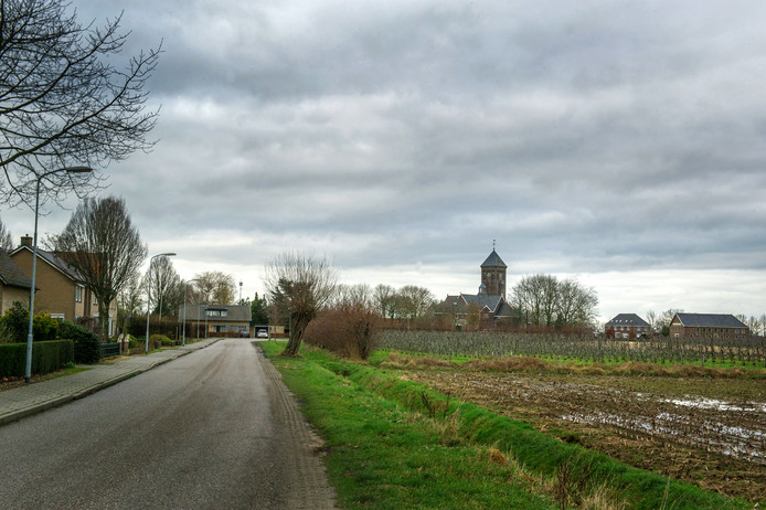Balgoy - Eveline van Elk - Gelderlander